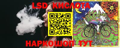 крисы Дубна