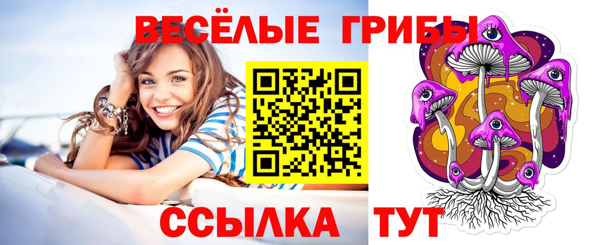 Псилоцибиновые грибы Cubensis  Галлюциногенные грибы Psilocybe  Вход с VPN  Канаш 