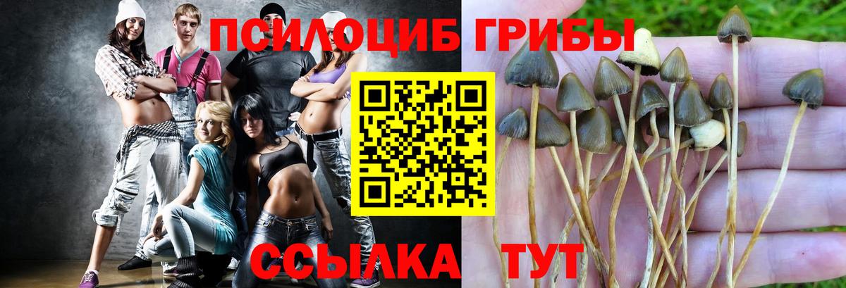 Галлюциногенные грибы Psilocybine cubensis Канаш